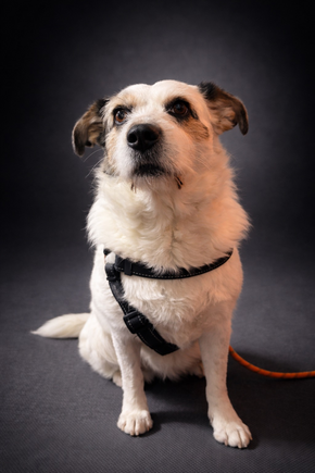 Our security service